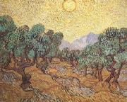 Vincent Van Gogh Olive Trees with Yellow Sky and Sun (nn04) Sweden oil painting reproduction